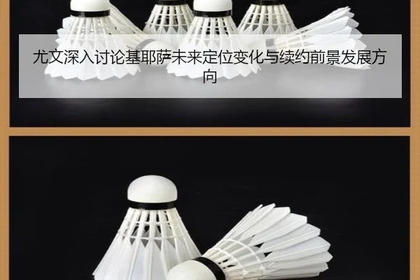 you-wen-shen-ru-tao-lun-ji-ye-sa-wei-lai-ding-wei-bian-hua-yu-xu-yue-qian-jing-fa-zhan-fang-xiang-3-500.jpg