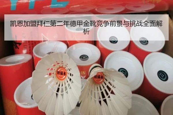 凯恩加盟拜仁第二年德甲金靴竞争前景与挑战全面解析